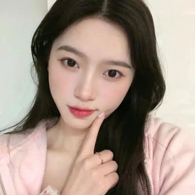 训练狗狗参加比赛